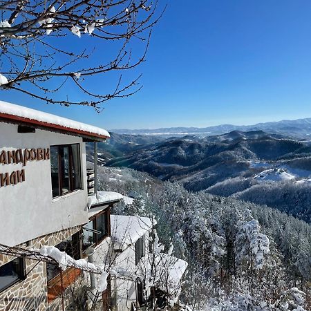 Александрова Вила 1 Zlatograd Esterno foto